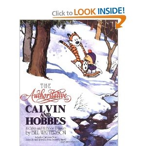 Authorative Calvin and Hobbes.jpg