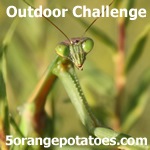 Outdoor Challenge.jpg