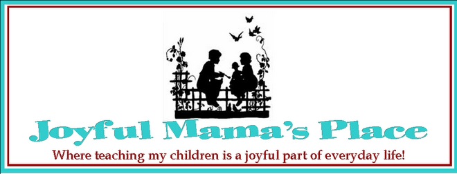 Joyful Mama's Place.jpg
